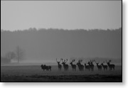 Ráno. (c) Autor: Jaroslav Hirnšál