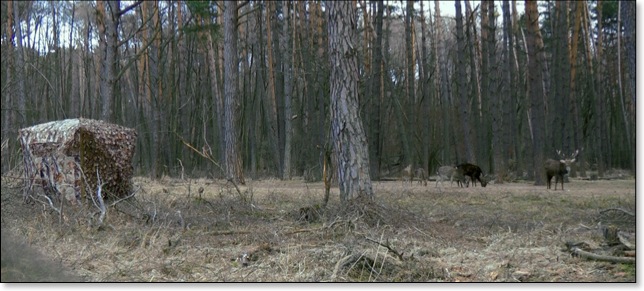 Maskovac&iacute; stan Choice HYBRID v akci 