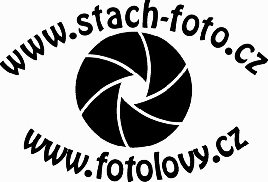 nove_logo