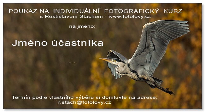 poukaz_individual