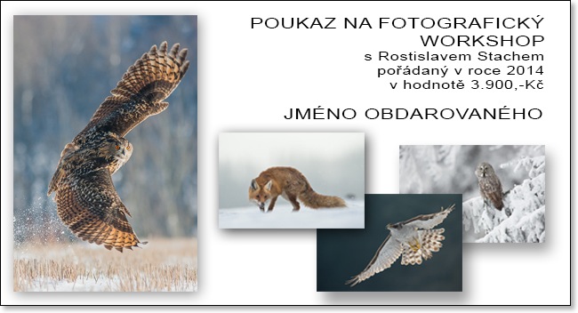 poukaz_novy