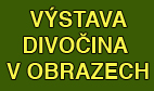 vystavacopy