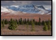 N.P. Denali