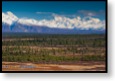 Okol&iacute; cesty Denali Highway