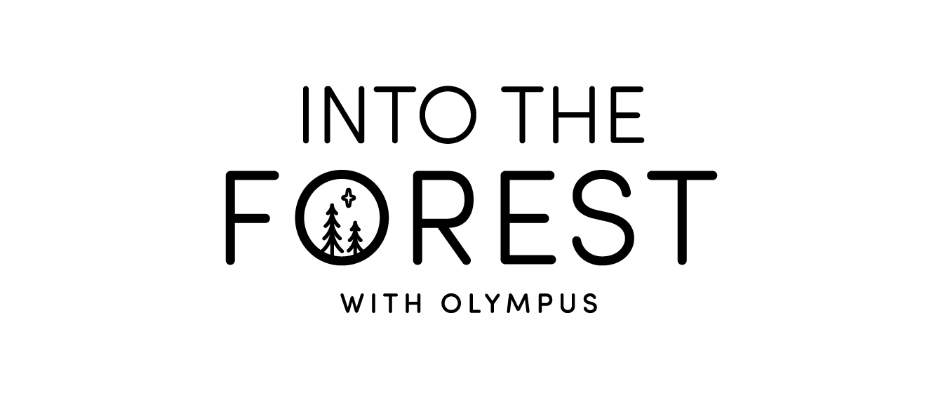 Into The Forest - Simple - BLK