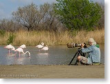 Fotografování v Camarque