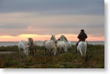 Snímek z farmy na které budeme fotografovat ( Foto: Olivier TERROUX )