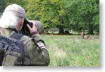 Fotografování jelenů v oboře Jaegersborg Dyerehavn