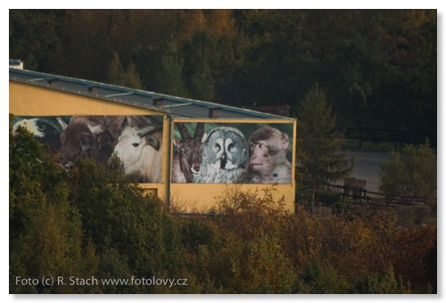 Canon EOS 1D Mark III, teleskop Swarovski, připojeno adaptérem KA 800 S, ISO 640, čas 1/500 s, f 0: