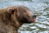Alaska_13-163