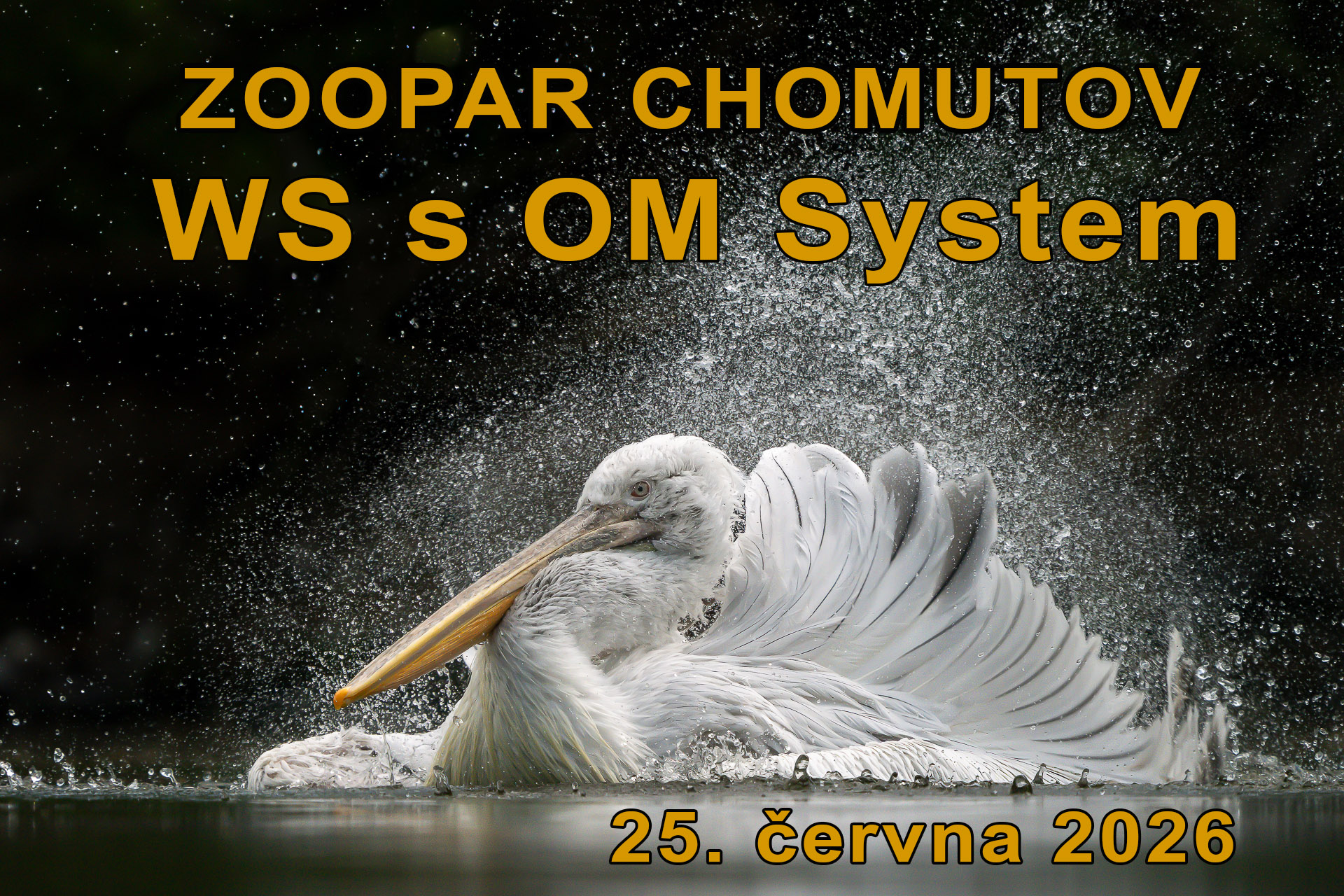 3707-21044598-Edit kopie